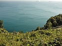 Genova Crevari_06